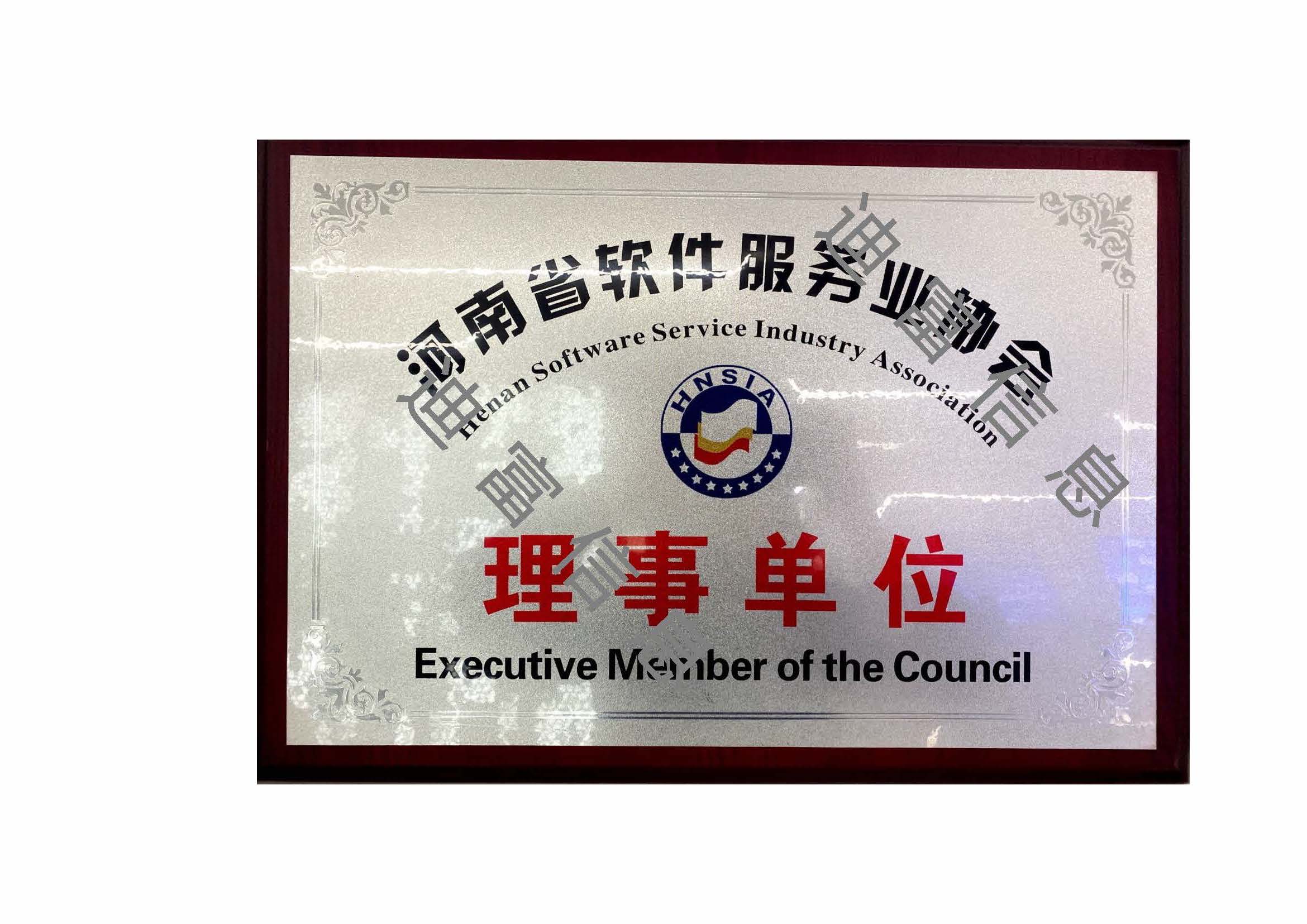 河南省软件服务协会常务理事单位